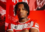 开云体育登录-美国男篮绝地反击篮网B队，汉密尔顿惊艳世界的简单介绍