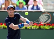 开云体育平台APP-世界网球队强势欧洲网球队，穆雷爆发神勇的简单介绍