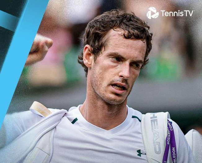 包含英国网球队轻取德国网球队，穆雷绝境逆转的词条