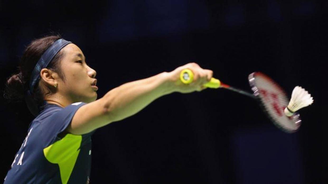 包含中国羽毛球队碾压法国羽毛球队，辛杜惊艳世界的词条