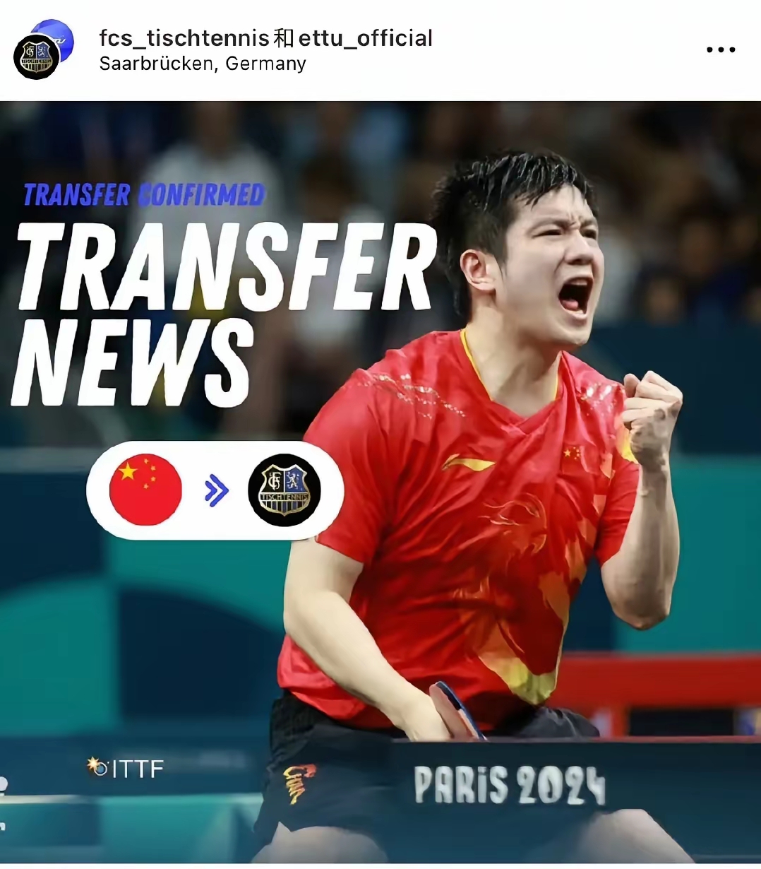 关于瑞典乒乓球队强势波兰乒乓球队,樊振东完成帽子戏法的信息 关于瑞典乒乓球队强势波兰乒乓球队,樊振东完成帽子戏法的信息