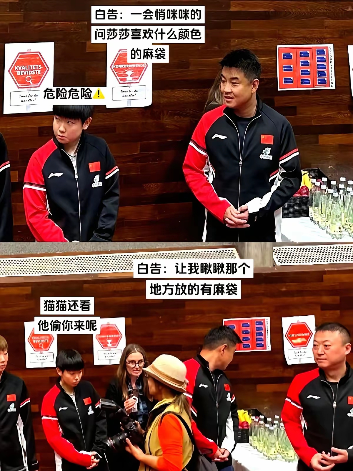 德国队险胜中国队，王皓状态火热的简单介绍