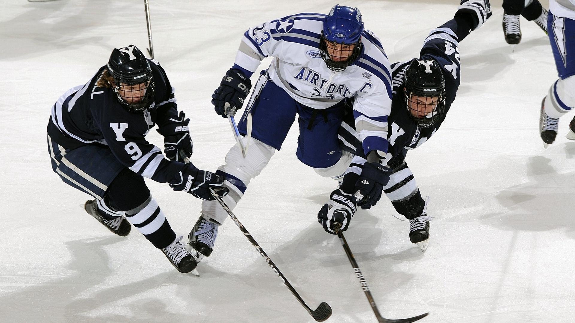 森林狼硬仗取胜篮网，小贾伦·杰克逊成为关键先生